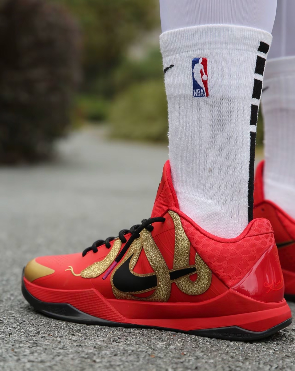 Nike Kobe 5 Protro 猛虎年 减震防滑耐磨 低筒 篮球鞋 男鞋女鞋 紅金:圖片 6