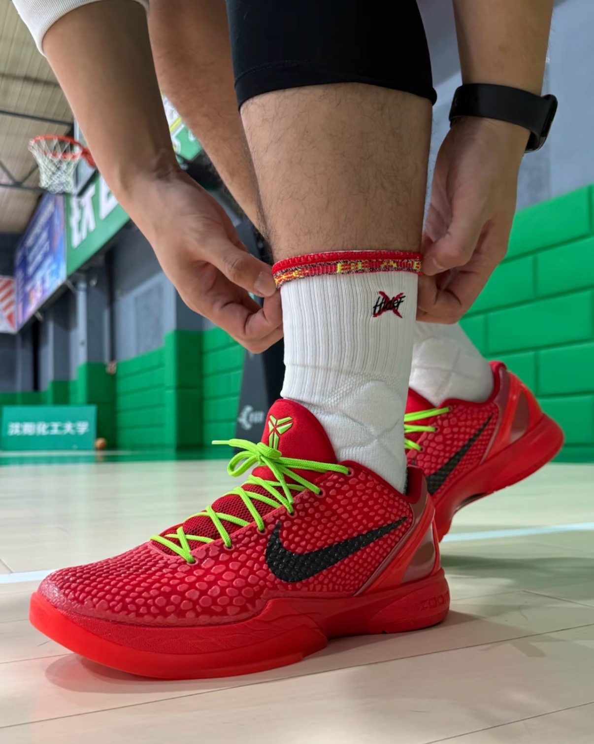 Nike Zoom Kobe 6 Protro“Reverse”反轉青蜂俠低幫籃球鞋男鞋女鞋紅色:圖片 5